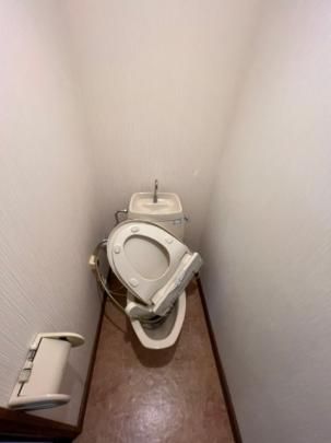 �y���̑��z�@�g�C��
