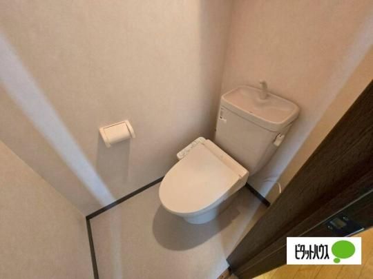 �y���̑��z�@�g�C��