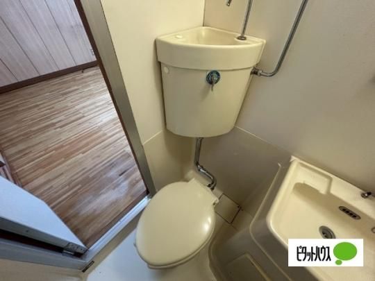 �y���̑��z�@�g�C��