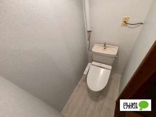 �y���̑��z�@�g�C��