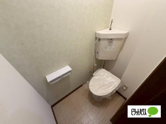 �y���̑��z�@�g�C��