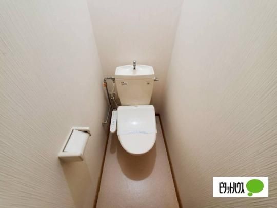 �y���̑��z�@�g�C��