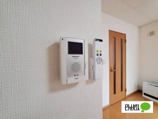 �y���̑��z�@�Z�L�����e�B