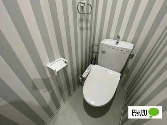 �y���̑��z�@�g�C��