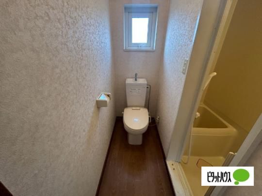 �y���̑��z�@�g�C��