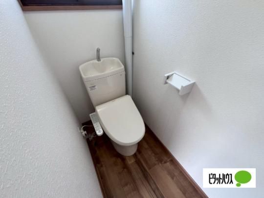 �y���̑��z�@�g�C��