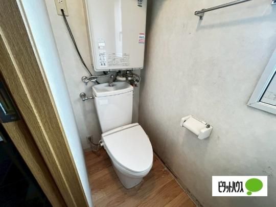 �y���̑��z�@�g�C��