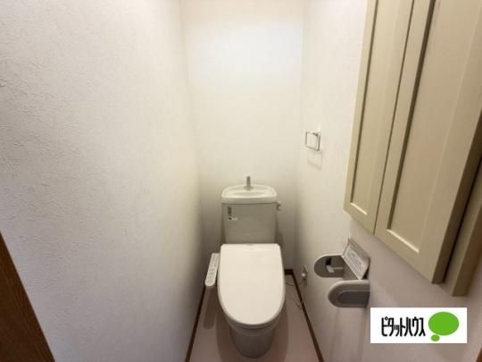 �y���̑��z�@�g�C��