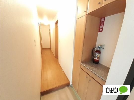 �y���̑��z�@����