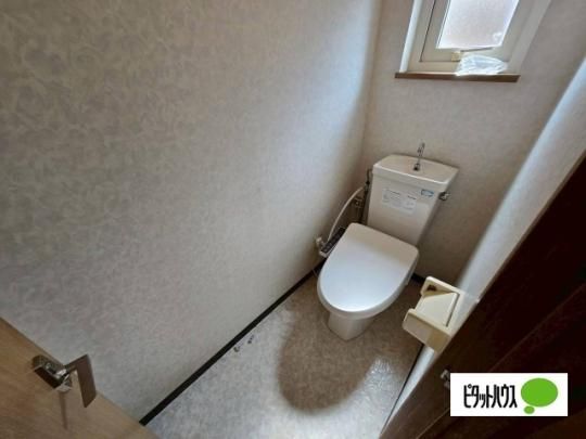 �y���̑��z�@�g�C��
