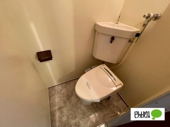 �y���̑��z�@�g�C��