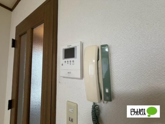 �y���̑��z�@�Z�L�����e�B