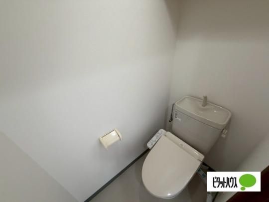 �y���̑��z�@�g�C��