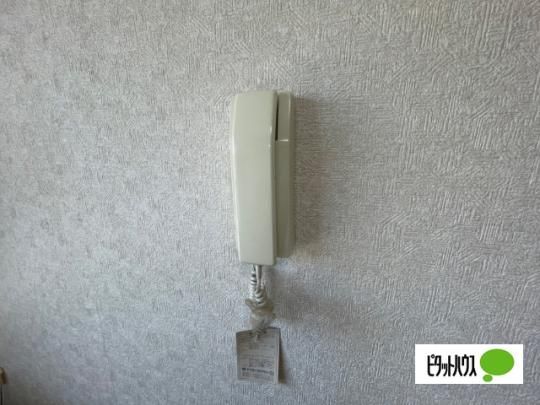 �y���̑��z�@�Z�L�����e�B