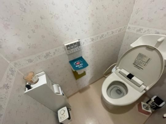 �y���̑��z�@�g�C��