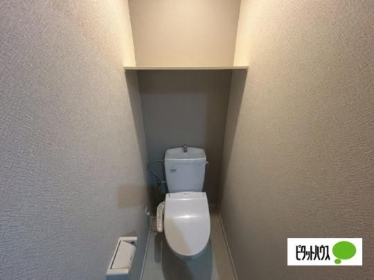 �y���̑��z�@�g�C��
