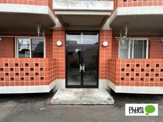 �y�����O�ρz�@�G���g�����X