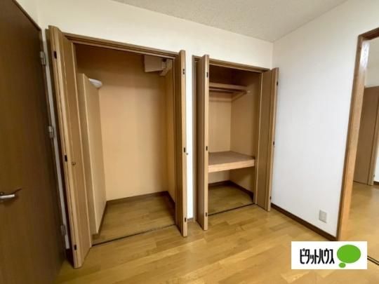 �y���̑��z�@���[
