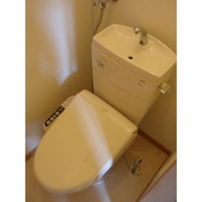 �y���̑��z�@�g�C��