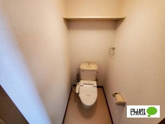 �y���̑��z�@�g�C��