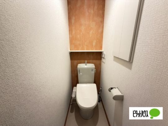 �y���̑��z�@�g�C��