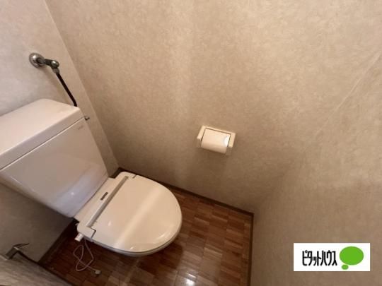 �y���̑��z�@�g�C��