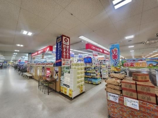 �y���Ӂz�@�c���n�h���b�OOK�X�F1005m