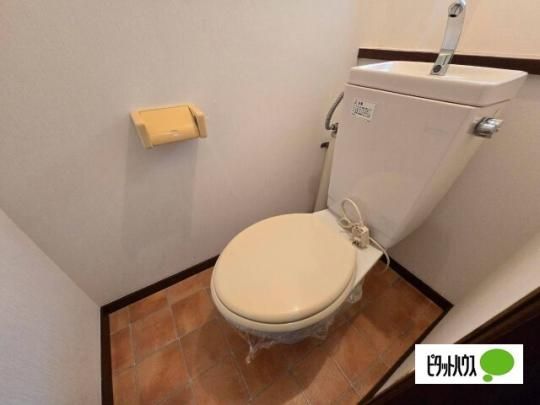 �y���̑��z�@�g�C��