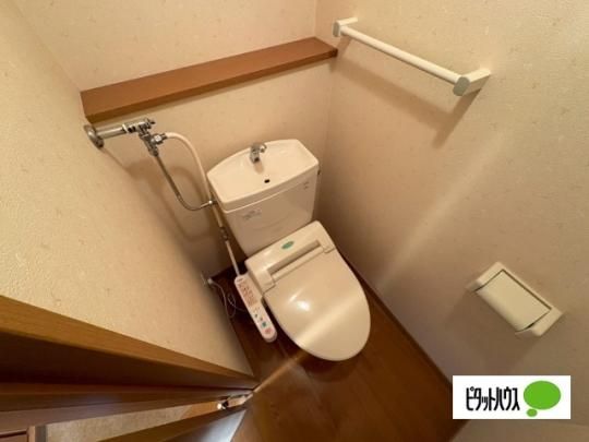 �y���̑��z�@�g�C��