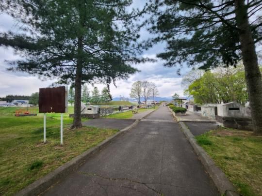 �y���Ӂz�@�s�E�J�����F8911m