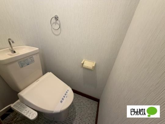 �y���̑��z�@�g�C��