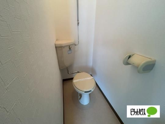 �y���̑��z�@�g�C��
