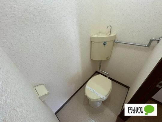 �y���̑��z�@�g�C��
