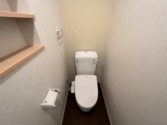 �y���̑��z�@�g�C��