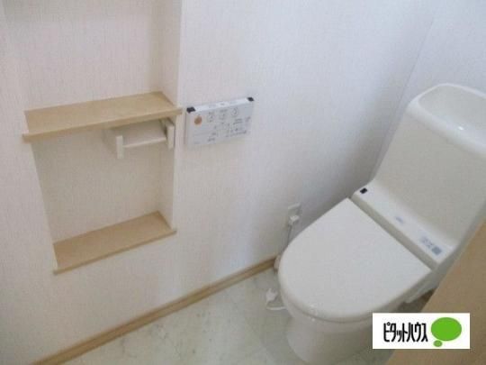 �y���̑��z�@�g�C��