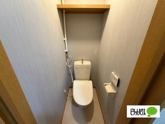 �y���̑��z�@�g�C��