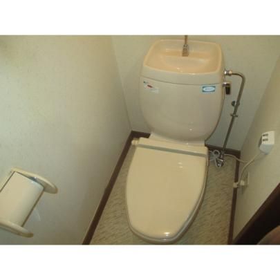 �y���̑��z�@�g�C��