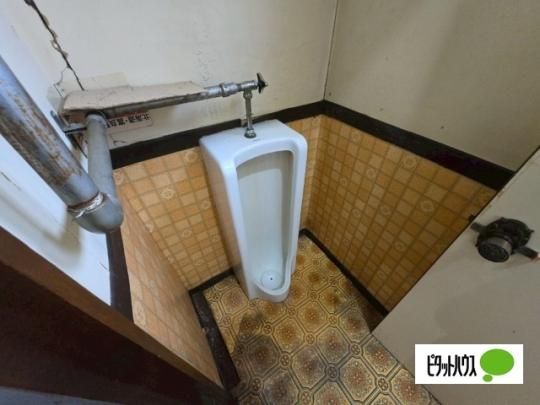 �y���̑��z�@�g�C��