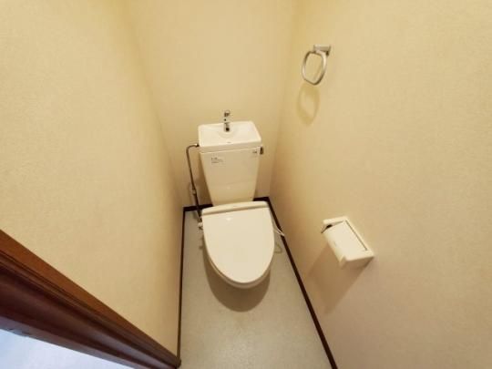 �y���̑��z�@�g�C��