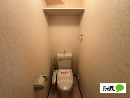 �y���̑��z�@�g�C��