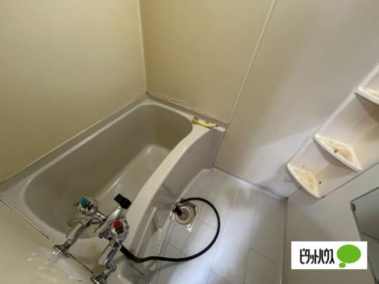 �y���̑��z�@�o�X�^�V�����[