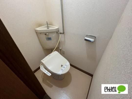 �y���̑��z�@�g�C��