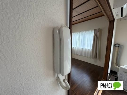 �y���̑��z�@�Z�L�����e�B