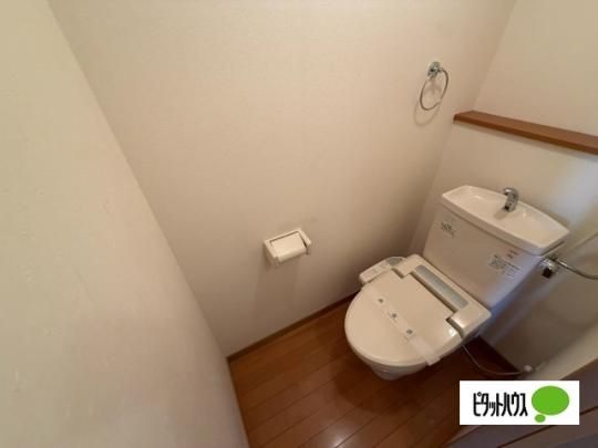 �y���̑��z�@�g�C��