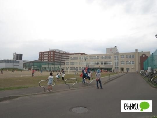 �y���Ӂz�@����s���_���w�Z�F951m