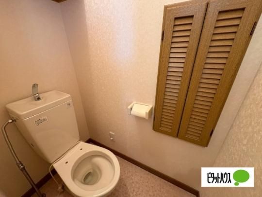 �y���̑��z�@�g�C��