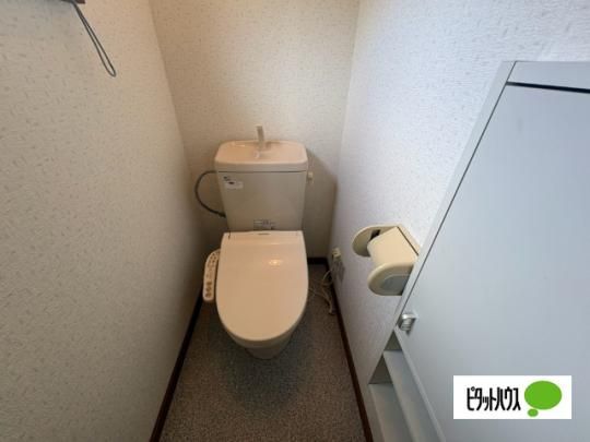 �y���̑��z�@�g�C��