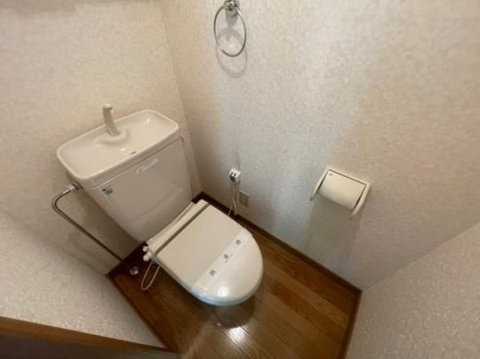 �y���̑��z�@�g�C��