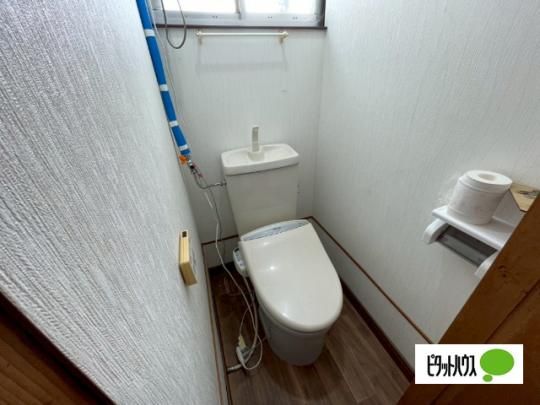 �y���̑��z�@�g�C��