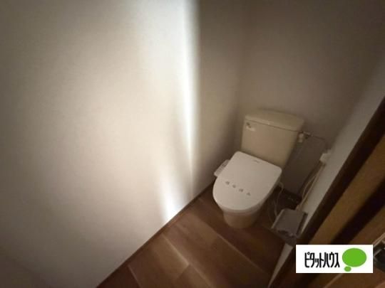 �y���̑��z�@�g�C��